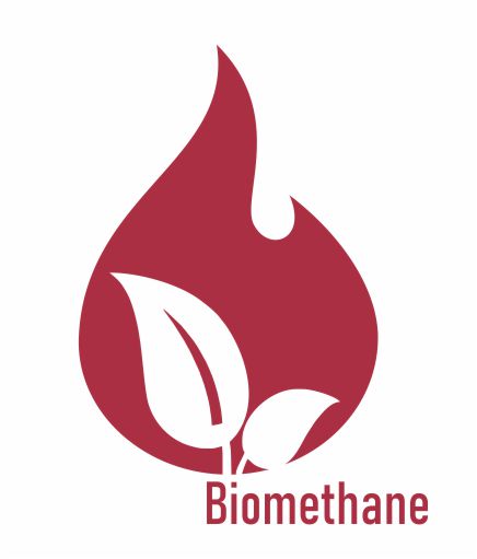 You are currently viewing Biomethane Development in Indonesia from a Commercial Perspective