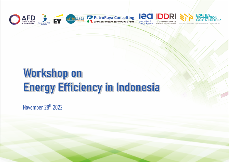 You are currently viewing Workshop on Energy Efficiency in Indonesia