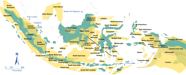 Read more about the article Indonesia Basin’s for Potential Carbon Storage and Future Oil and Gas E&P: A Strategic Move Towards a Greener Future